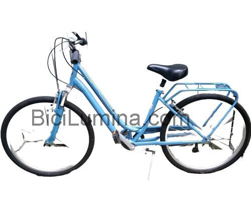 Schwinn Radiant ficha técnica y opiniones